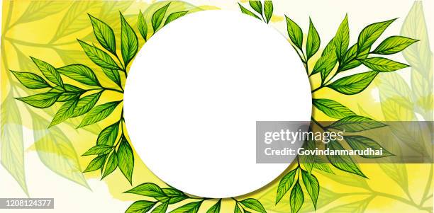 water color background and green leaves with paper card note - aerial view forest stock illustrations
