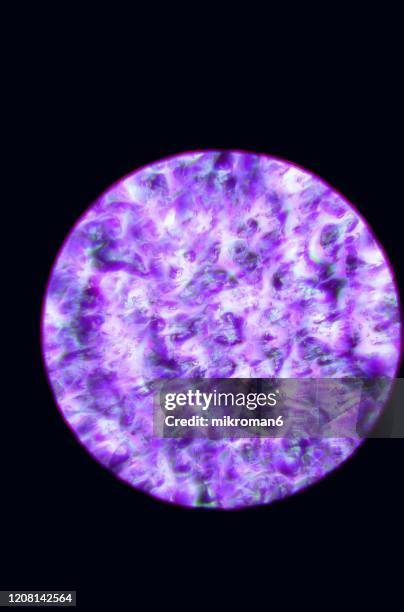 Microscope Color Background Photos and Premium High Res Pictures ...