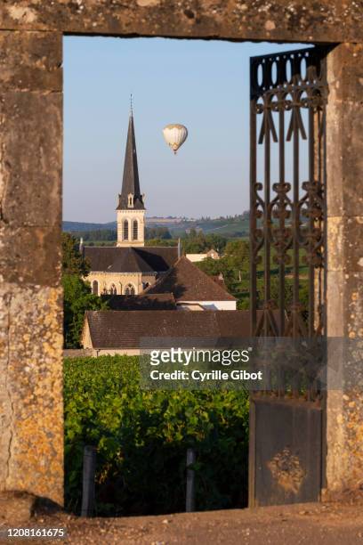 village church and vineyards in santenay, burgundy, france - burgundy france stock pictures, royalty-free photos & images