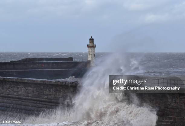 blowing in the wind - copeland cumbria stock pictures, royalty-free photos & images