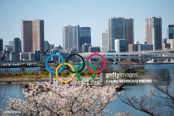 Cherry blossoms are seen near the Olympic rings in Tokyo's Odaiba district on March 25 the day after the historic decision to postpone the 2020 Tokyo...