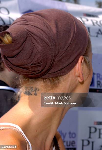 Ashley Scott during Purina's Rally To Resuce 2005 - Purple Carpet at Barrington Recreational Center in Brentwood, California, United States.