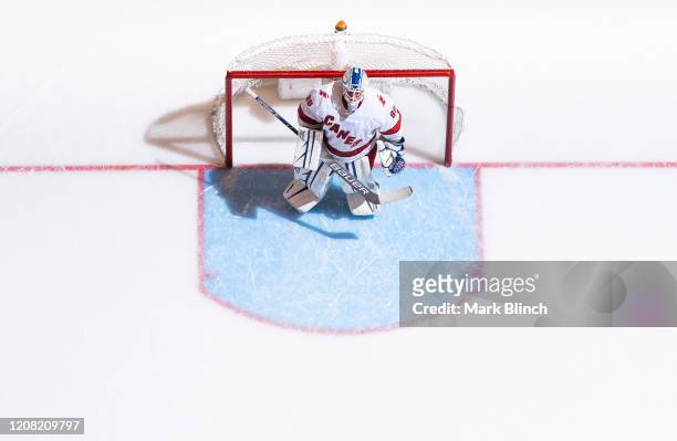 Emergency backup goaltender Dave Ayres of the Carolina Hurricanes stands in net against the Toronto Maple Leafs during the third period at the...