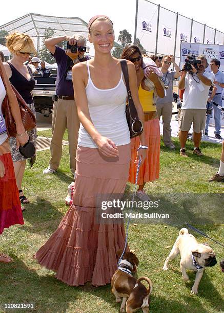 Ashley Scott during Purina's Rally To Resuce 2005 - Purple Carpet at Barrington Recreational Center in Brentwood, California, United States.