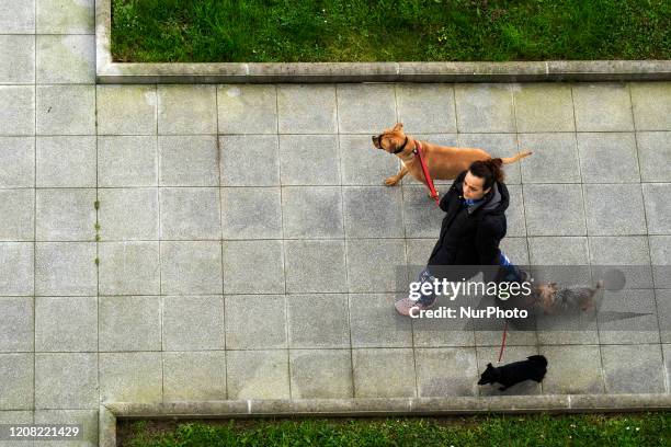 Young girl walks her dogs during the government-mandated quarantine of the coronavirus , so she can take a short walk with the pets.