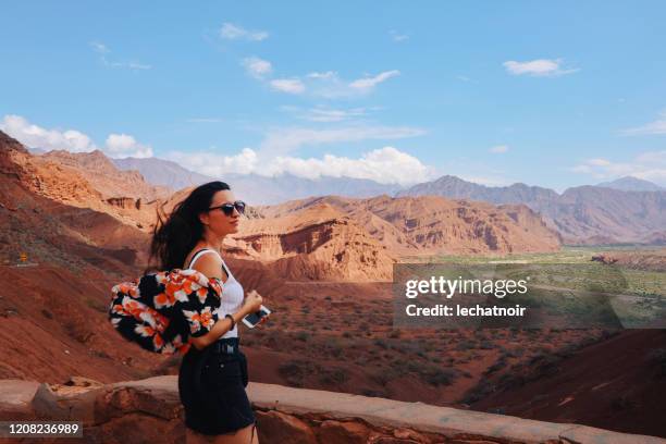 touristin genießt die landschaft argentiniens - saltar stock-fotos und bilder