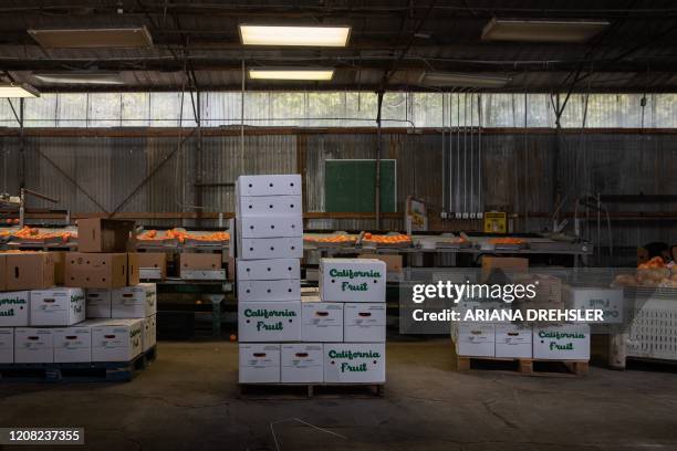 Organic tangerines and boxes sit out while workers take lunch at Stehly Farms Organics in Valley Center, California on March 25, 2020. - Since the...