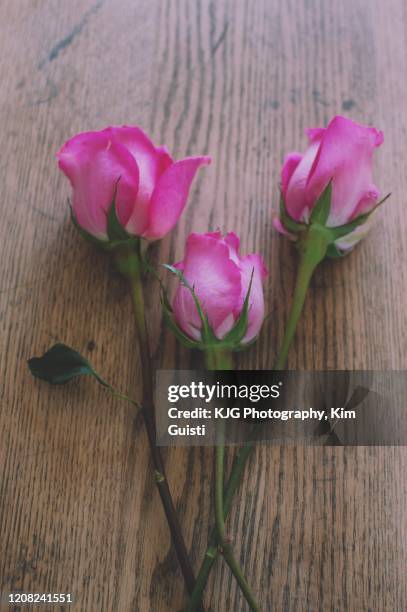 3 Pink Roses Photos and Premium High Res Pictures - Getty Images