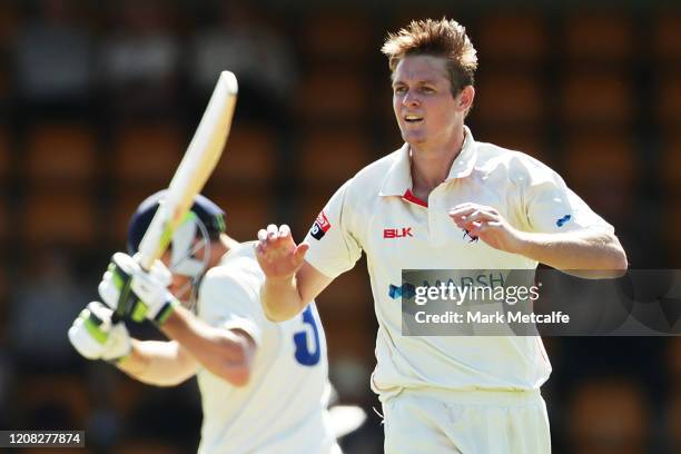 Joe Mennie of the Redbacks celebrates after taking the wicket of Daniel Hughes of the Blues during day one of the Sheffield Shield match between New...