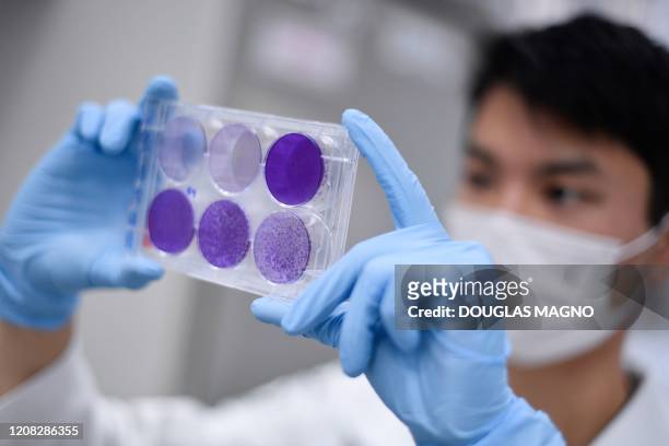 Researcher works on virus replication in order to develop a vaccine against the coronavirus COVID-19, in Belo Horizonte, state of Minas Gerais,...