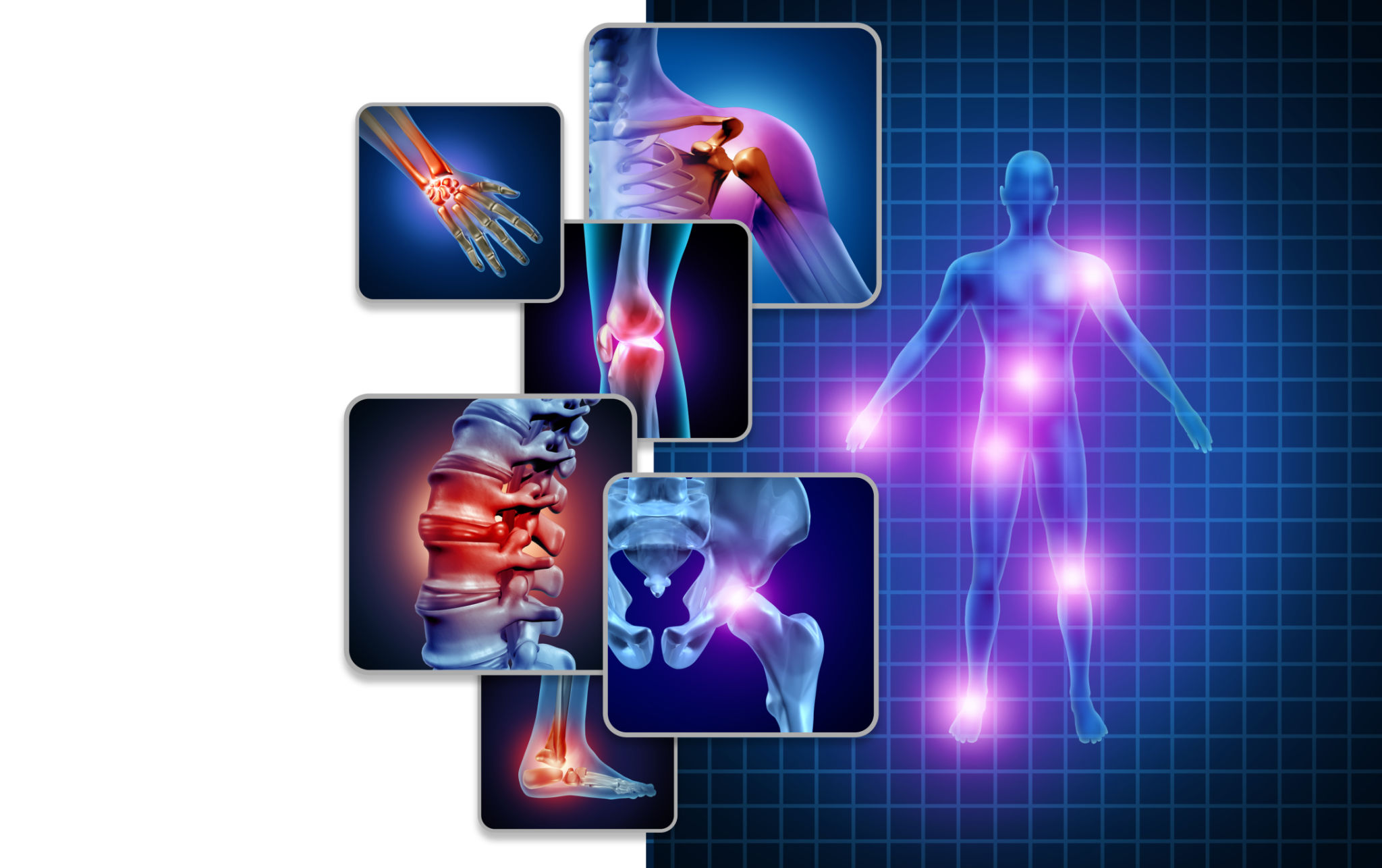 muscle health