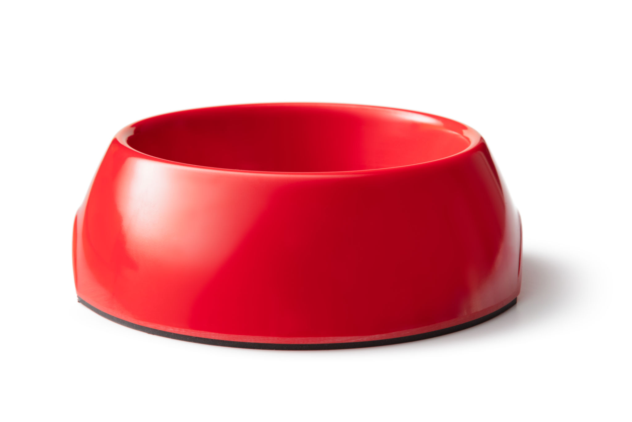 pet food bowl