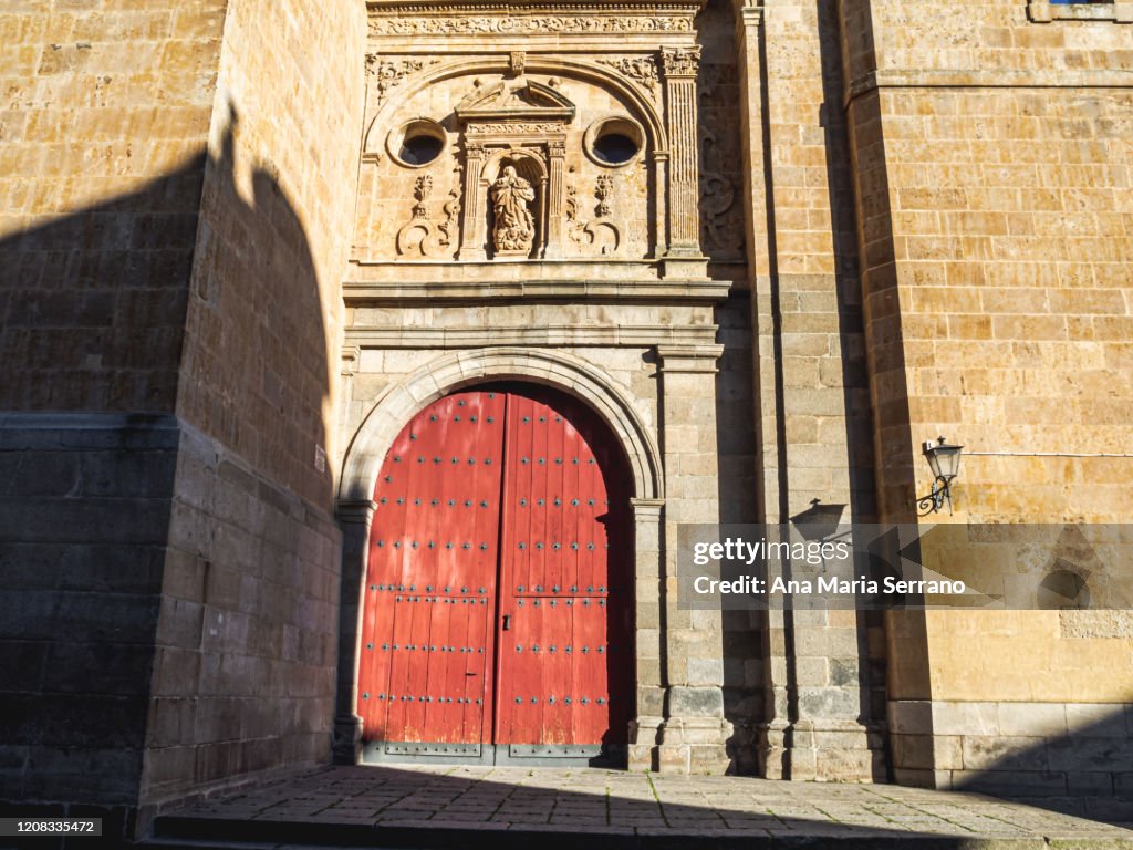 View of Cathedral of Salamanca (Spain) door