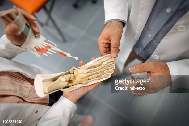 醫生在醫療診所看人腳解剖模型 - foot bones 個照片及圖片檔