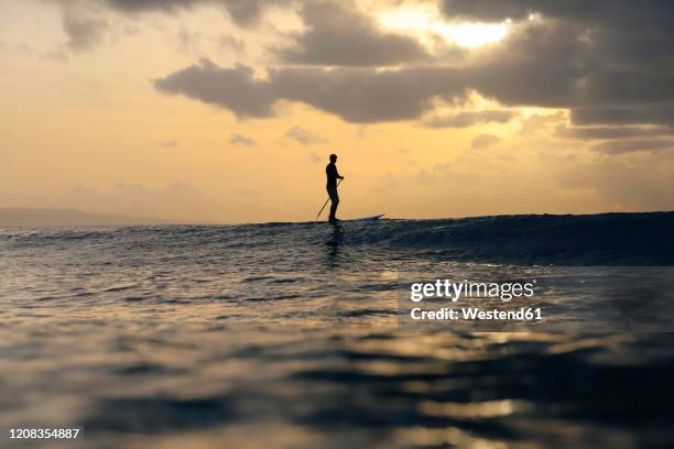 sup surfer at sunset, bali, indonesia - sup stock pictures, royalty-free photos & images