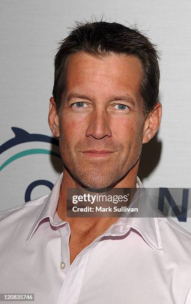 James Denton during Oceana Celebrates 2006 Partners Award Gala - Arrivals at Esquire House 360 in Los Angeles, California, United States.