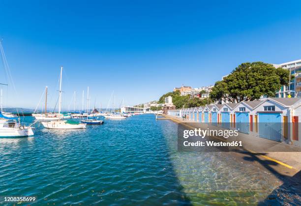 boat sheds, port nicholson, wellington, north island, new zealand - wellington boot stock-fotos und bilder