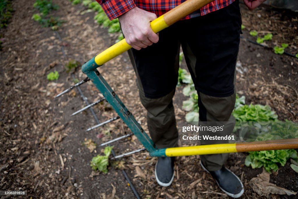 Man working in vegetable nursery, using digging fork