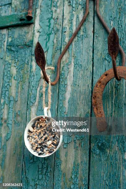 horseshoeand mug with bird seed hanging from rusty hooks - bird seed stock pictures, royalty-free photos & images