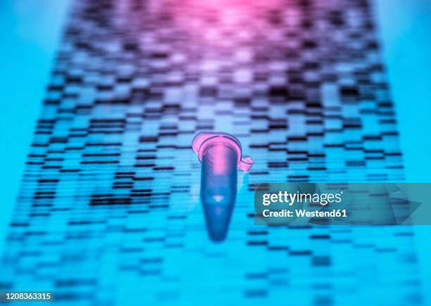 Random Dna Sample 253 Sample Sequencing Stock Photos, High-Res Pictures, and Images ...