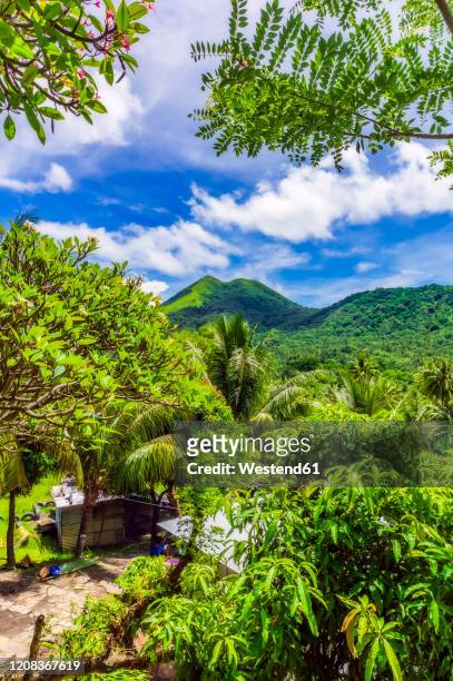 papuanew guinea, east new britain province, rabaul, huts surrounded by green lush forest of new britain island - rabaul stock pictures, royalty-free photos & images