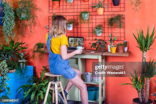 woman using laptop on her terrace - green thumb stock pictures, royalty-free photos & images