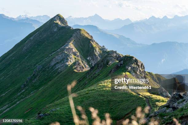 mountainbiker on a way on a ridge, grisons, switzerland - lenzerheide stock pictures, royalty-free photos & images