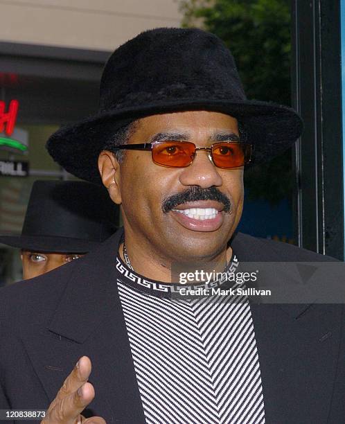 Steve Harvey during "Racing Stripes" Los Angeles Premiere - Arrivals at Grauman's Chinese Theatre in Hollywood, California, United States.