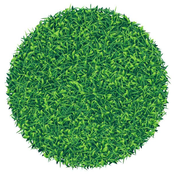 square piece of green grass - spring background top view stock illustrations