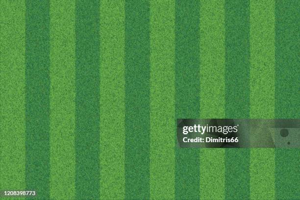 grünes gras gestreift realistische strukturierte hintergrund - bolzplatz stock-grafiken, -clipart, -cartoons und -symbole