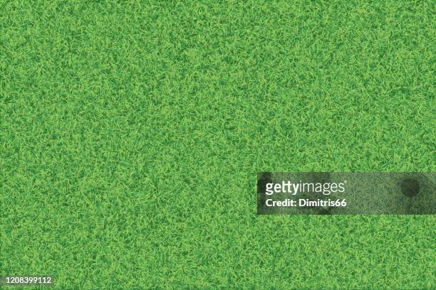 green grass realistic textured background. - grass stock illustrations