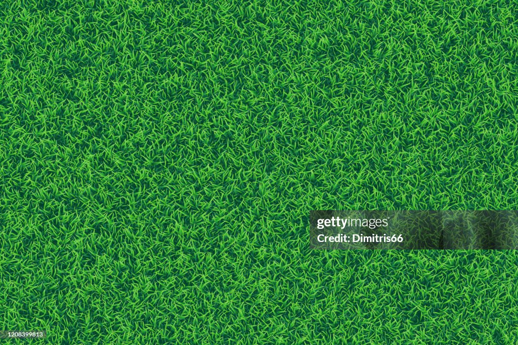 Green grass realistic textured background.