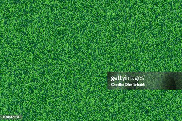 green grass realistic textured background. - grass area stock illustrations