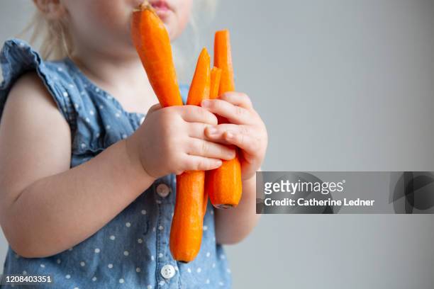 toddler holding a bunch of peeled carrots - vegetarianism - fotografias e filmes do acervo