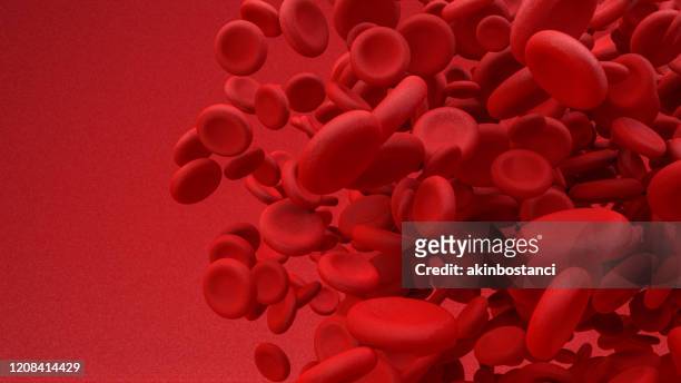 blutzelle - blood cancer stock-fotos und bilder
