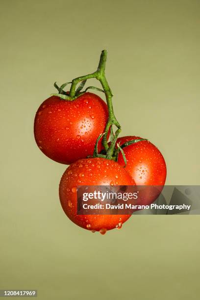 complimentary veggie colors - tomatoes ストックフォトと画像