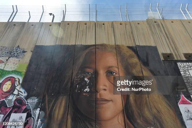 Mural of Palestinian activist and protester Ahed Tamimi seen among other political and social mural paintings and graffitis on the wall separting...