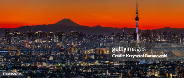 tokyo cityscape with mt. fuji at a colorful sunset. - tokyo skytree stock pictures, royalty-free photos & images
