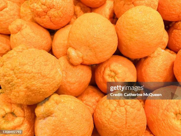 fresh sumo citrus mandarin oranges - ネーブルオレンジ ストックフォトと画像