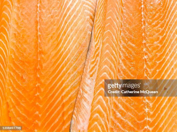 fresh salmon filets at fish market - texture mousse stock pictures, royalty-free photos & images