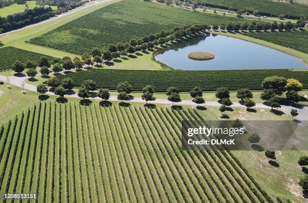 countryside and vineyard in the yarra valley - australian vinyards stock pictures, royalty-free photos & images