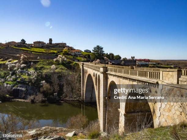 63 Maria Ledesma Stock Photos, HighRes Pictures, and Images Getty Images