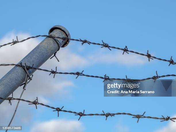 abstract photography of barbed wire against blue sky - redacted stock pictures, royalty-free photos & images