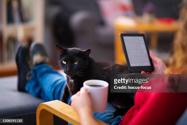 frau mit einem e-reader und lesen eines e-books mit ihrer katze zu hause - e reader stock-fotos und bilder