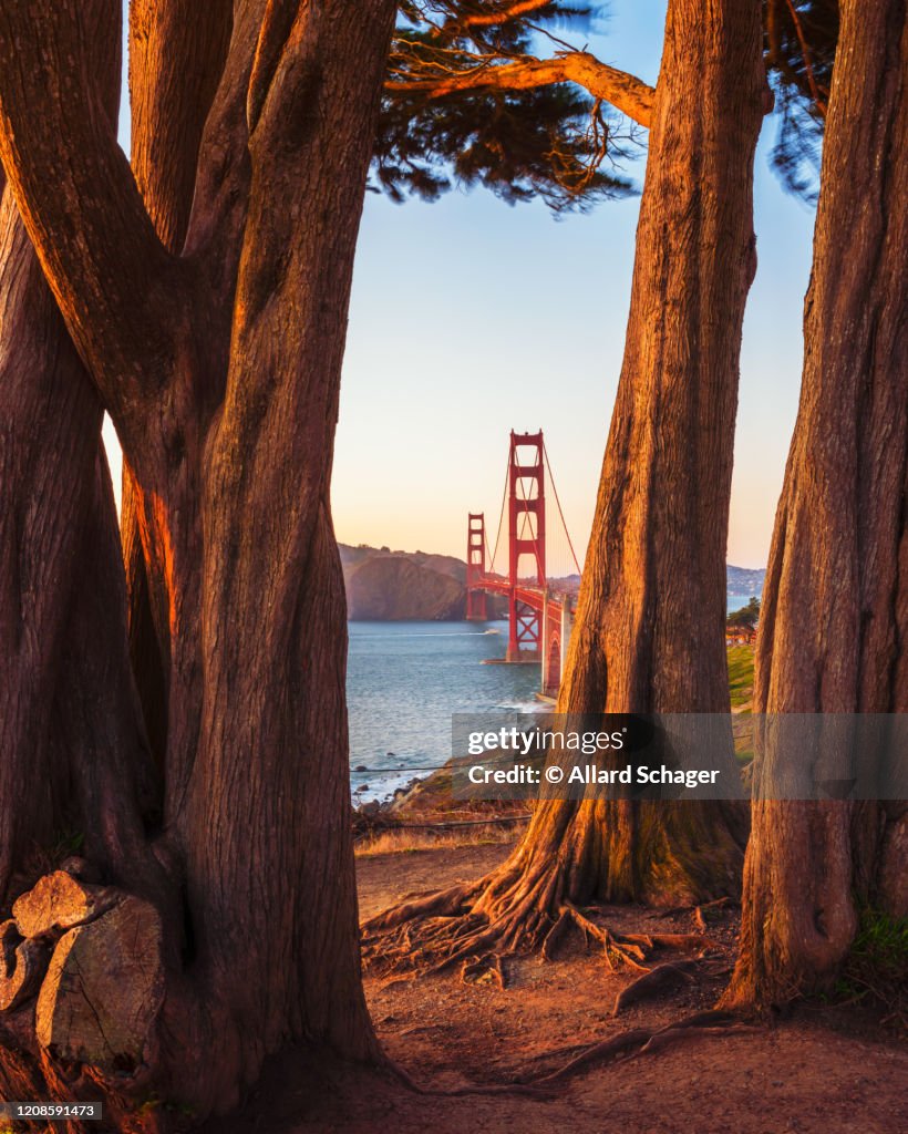 See Through to Golden Gate Bridge San Francisco