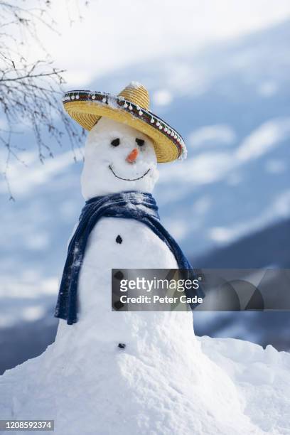 snowman wearing scarf and hat - melting snowman stock pictures, royalty-free photos & images