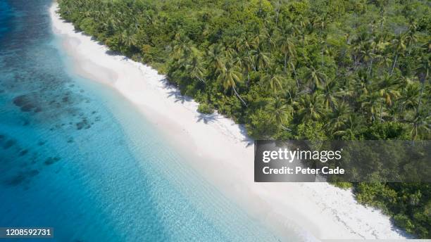 tropical island - private island stock-fotos und bilder