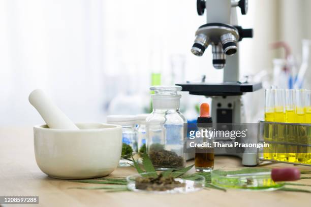 cannabis: medical research that proves cannabis can cure cancer - organic chemistry in laboratory fotografías e imágenes de stock