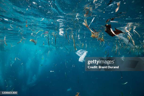 plastic trash & garbage underwater - environmental damage stockfoto's en -beelden