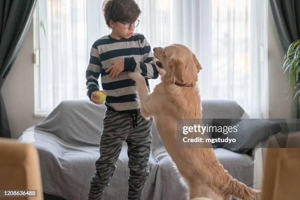 jungen spielen mit ihrem hund im wohnzimmer - dog jump stock-fotos und bilder
